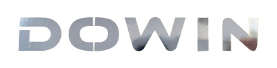 Dowin LOGO